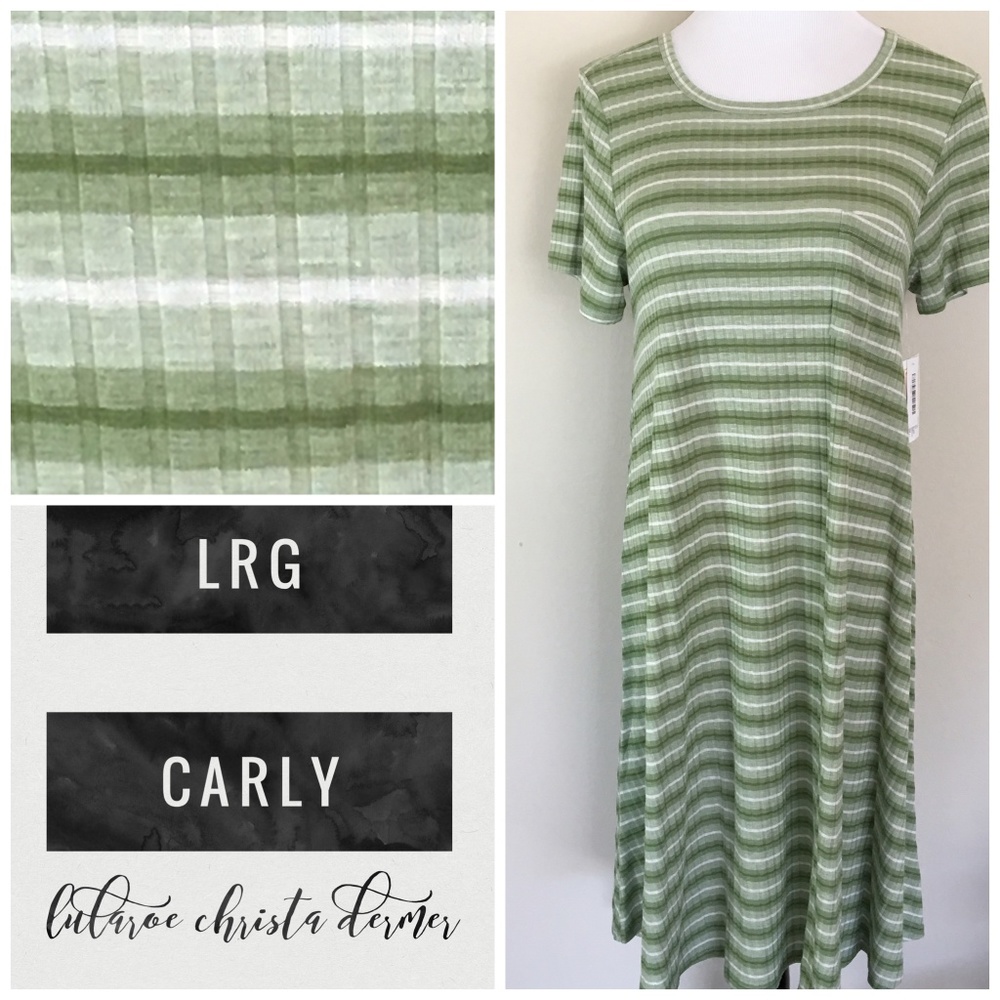 NWT Lularoe Carly Dress